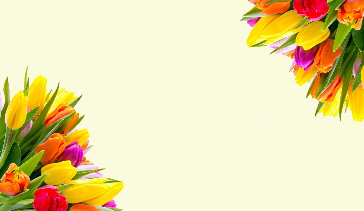 Flowers 1170×679