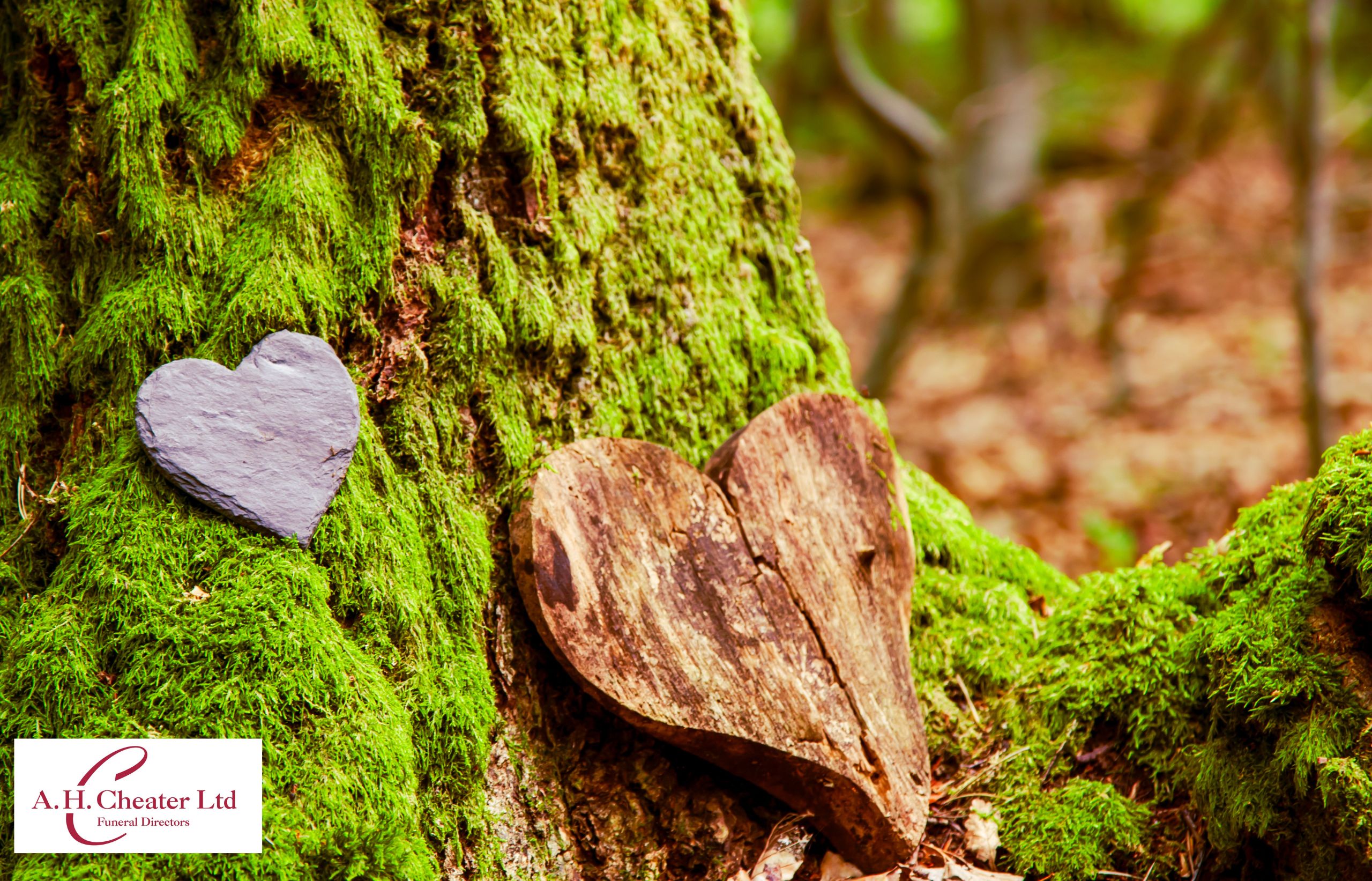 Embracing Eco-Friendly Funerals for a Greener Goodbye